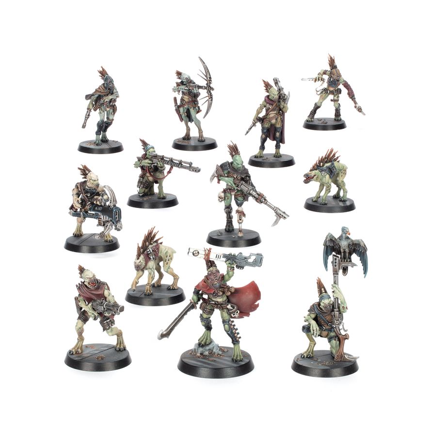 Warhammer 40k Combat Patrol - Kroot