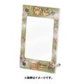 Pokemon Center Original Pokemon Card Display Frame Pikachu & Pichu